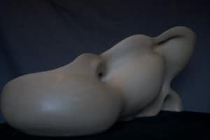 Cascading Tidal Pools