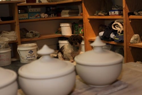 Sasha with lidded casseroles
