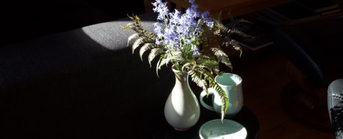 Vase with flowers and coffee mug