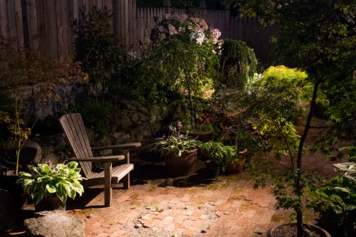 The garden at night
